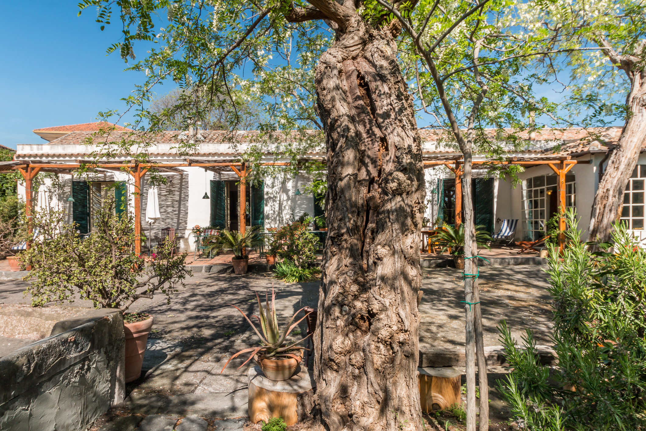 B&B_la_casa_di_pippinitto_basilio_etna_guide